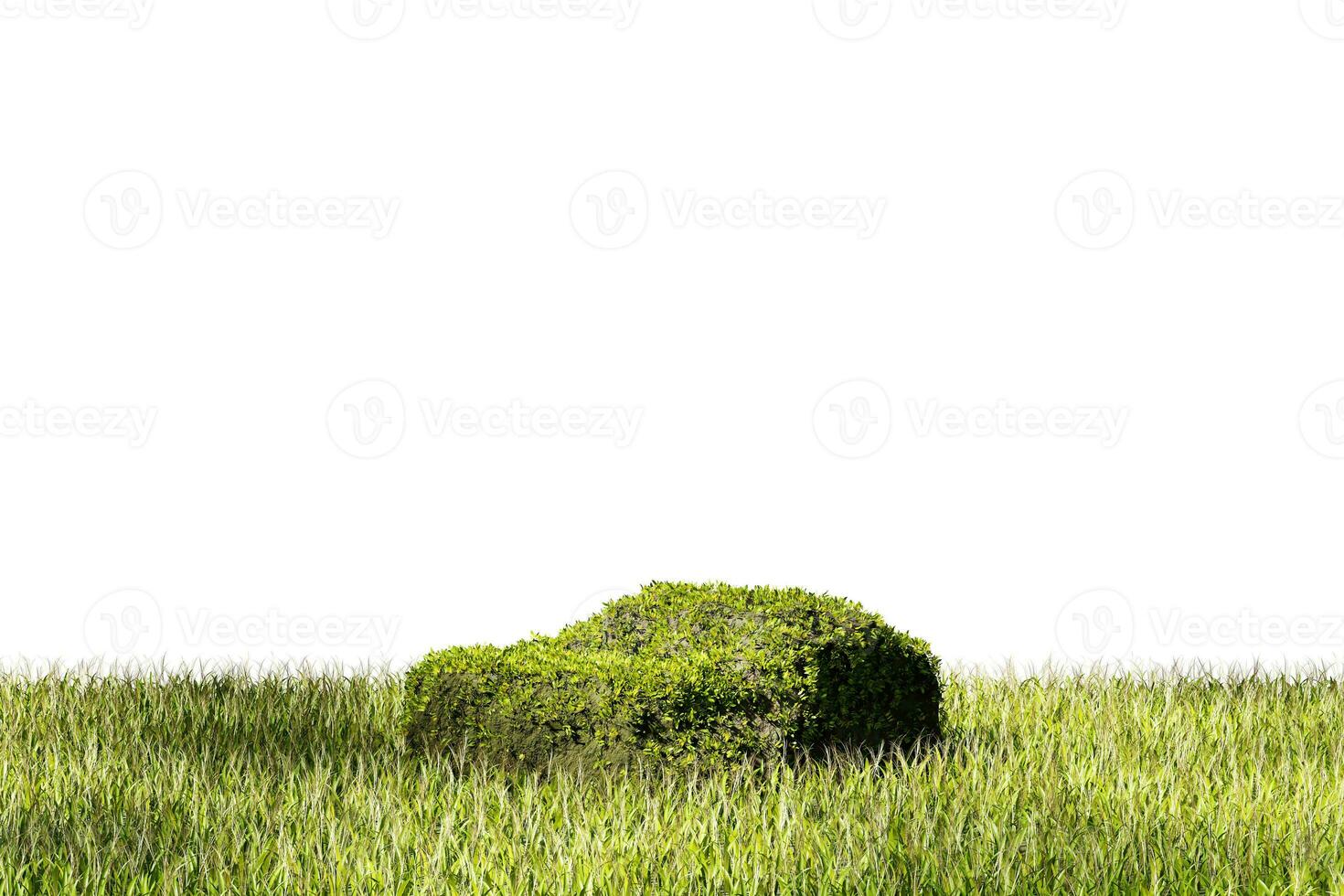 3D rendering platform podium with grass plant product presentation isolated on white background photo