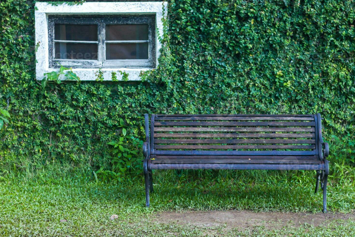 Lawn flower garden Old wooden chair photo