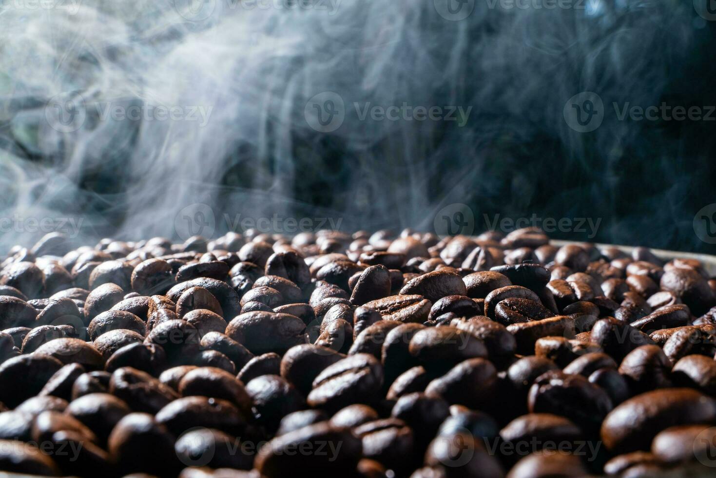 Coffee beans roasting with smoke,  selective focus, and soft focus. photo