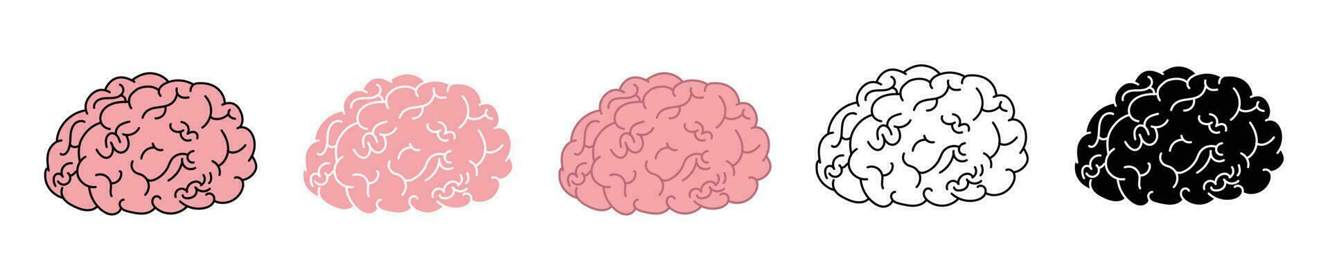 human brain organ pink brain with stroke vector