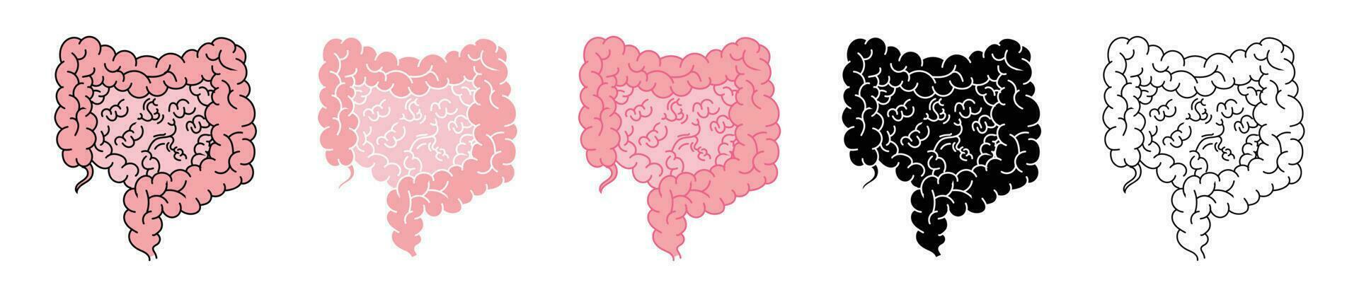 colon and intestines cartoon illustration human organ vector