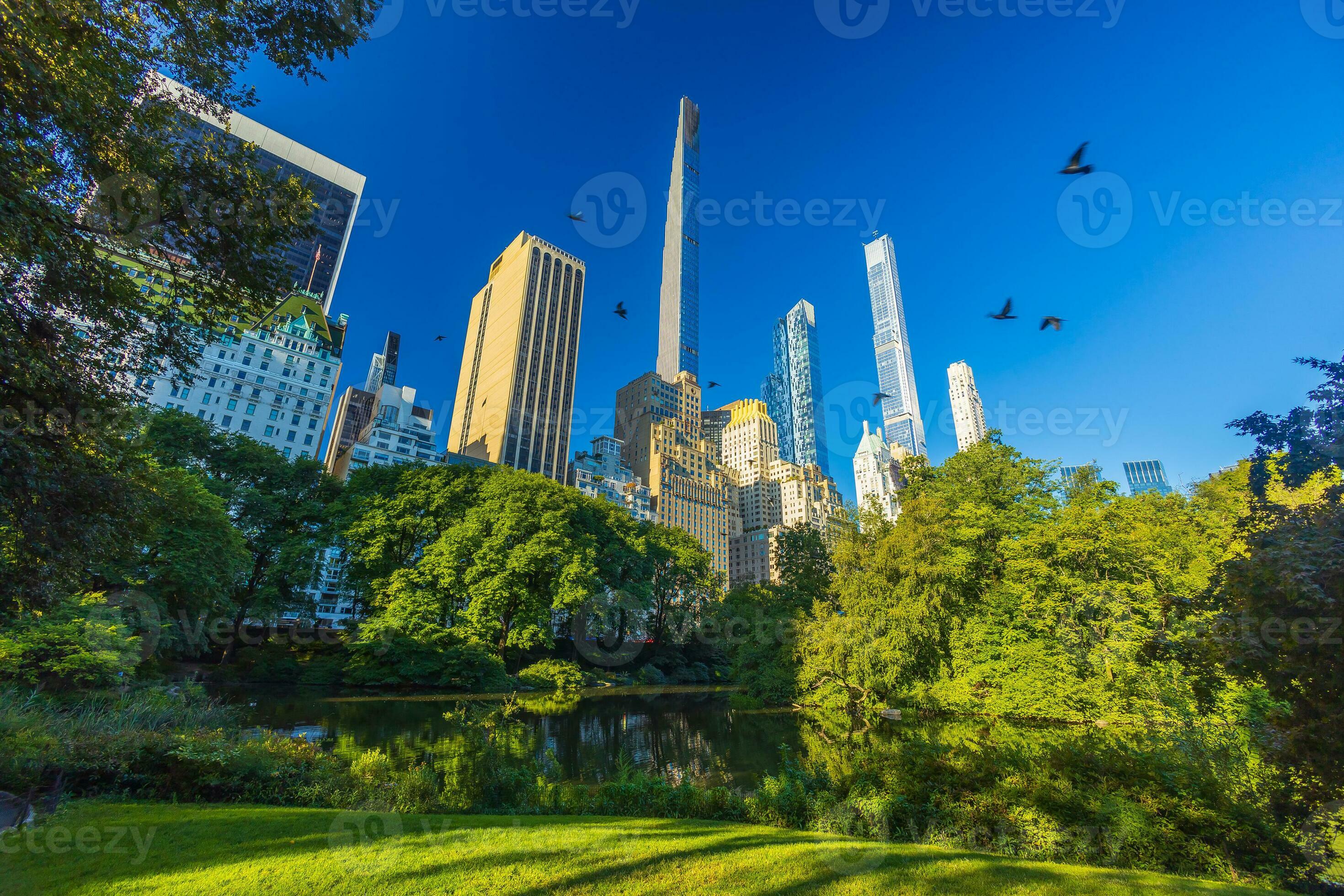 Central Park in New York City USA 24312016 Stock Photo at Vecteezy