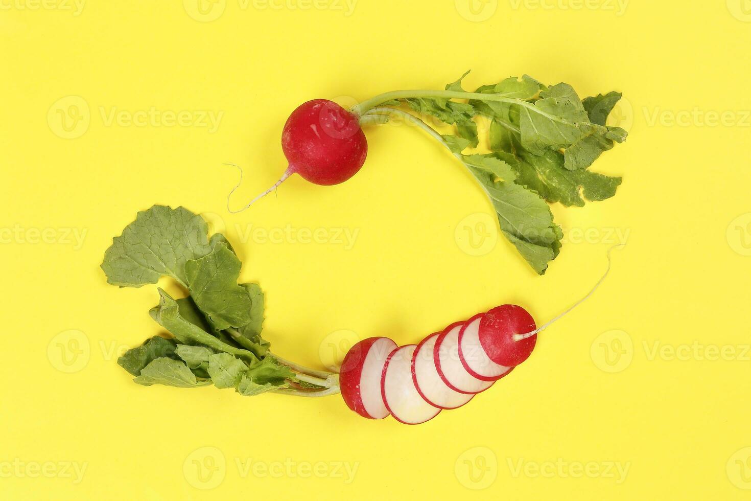 Small red radish on yellow background photo