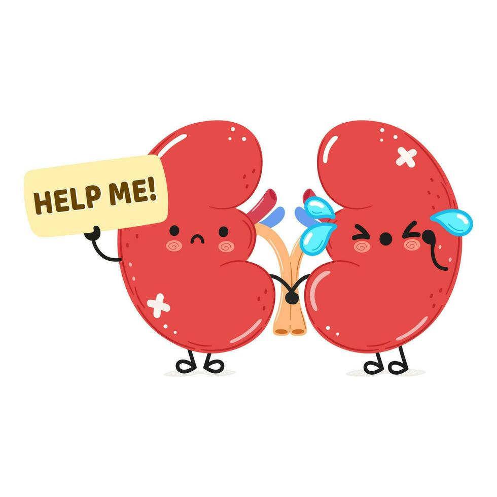 Cute sad sick Kidneys organ asks for help character. Vector hand drawn cartoon kawaii character illustration icon. Isolated on white background. Suffering unhealthy Kidneys organ character concept