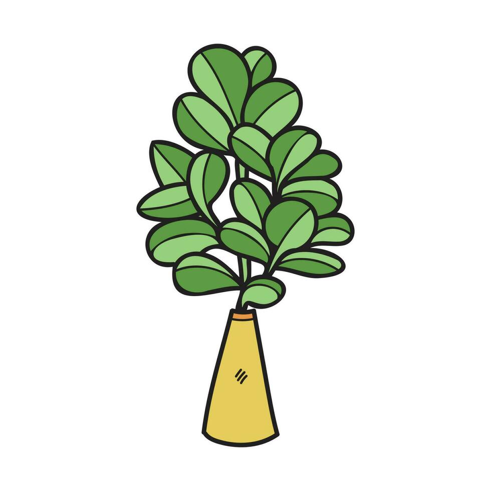 isolate organic houseplants on vase element vector