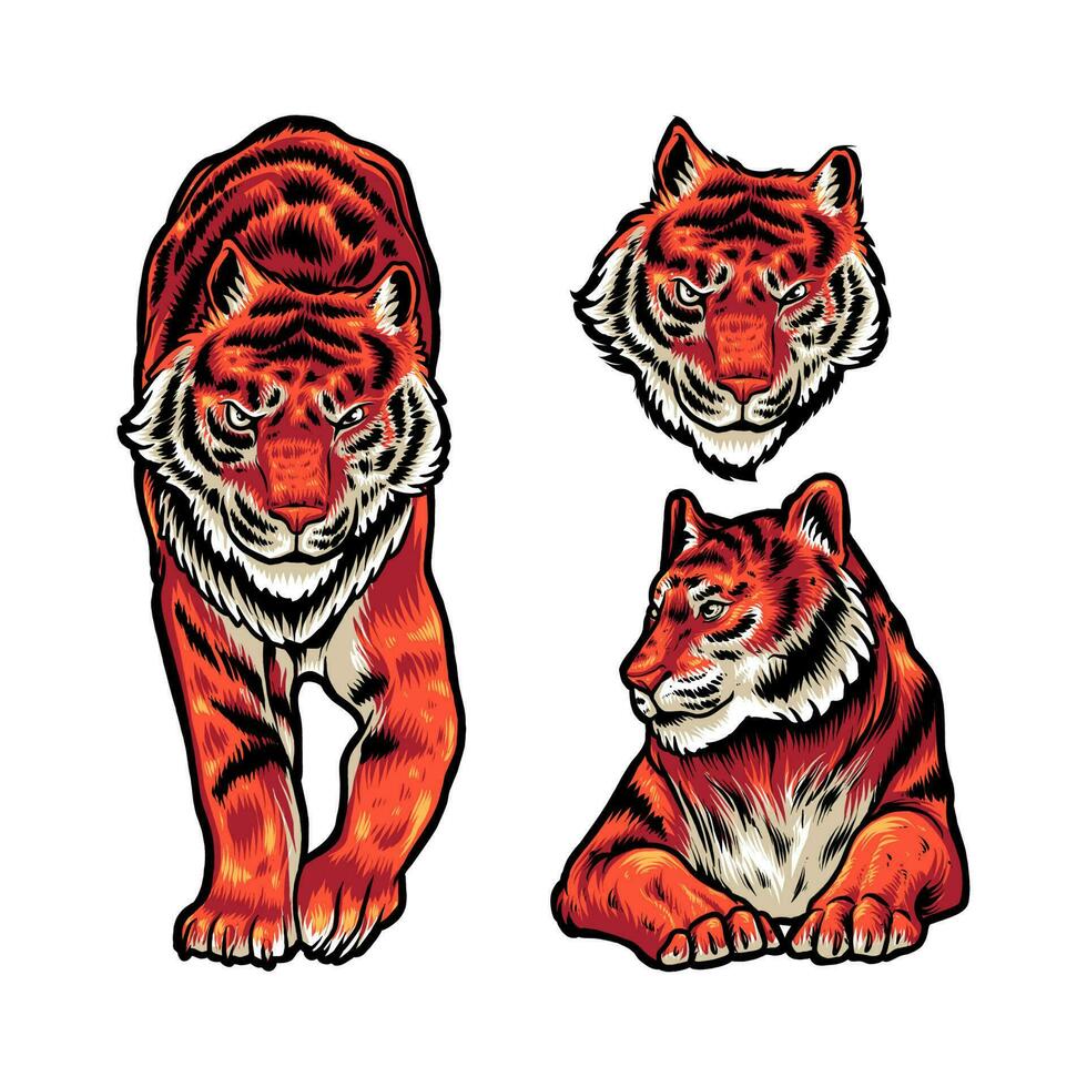 Tigre con lleno color vector