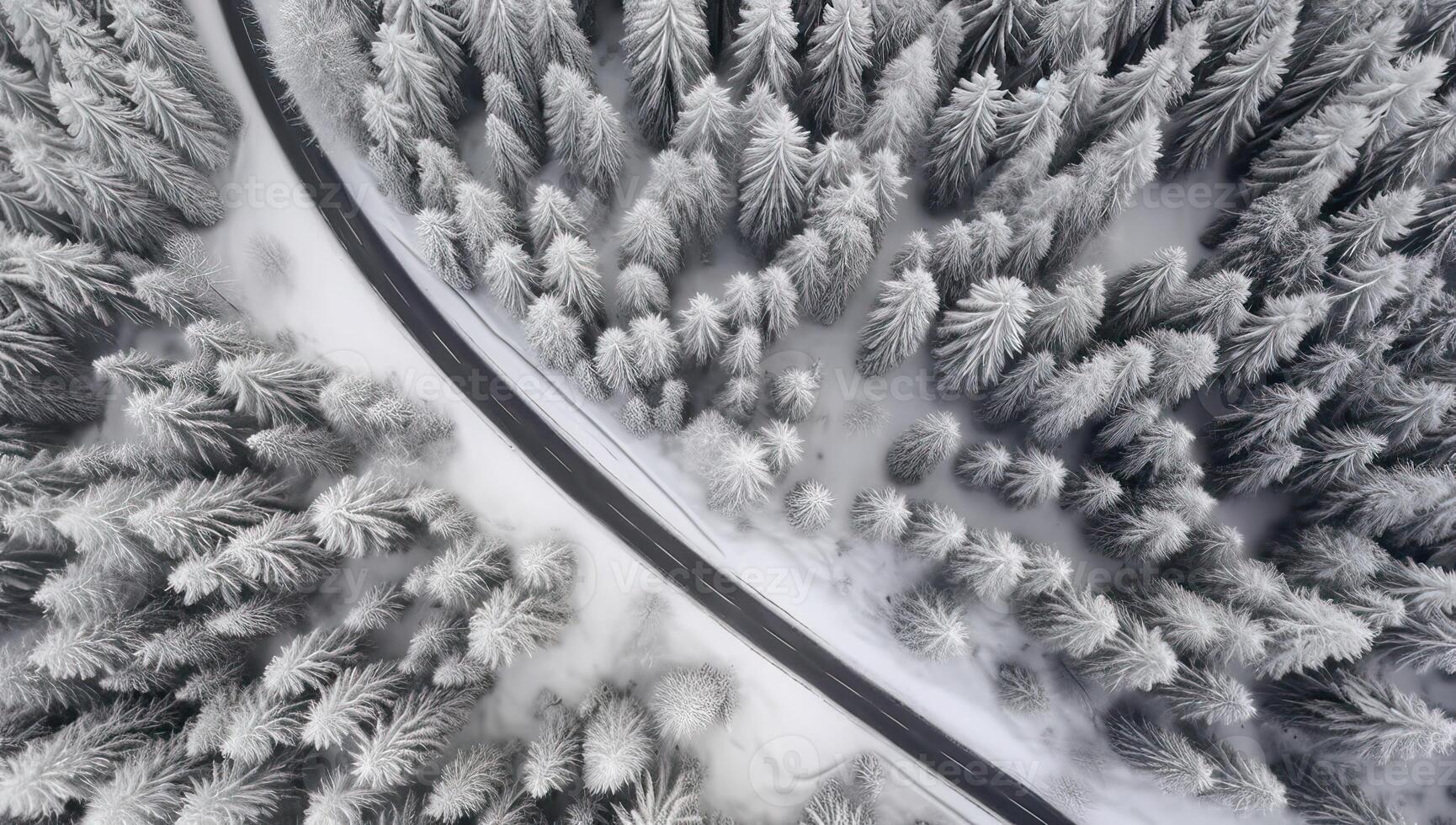 Aerial view on the road and forest at the winter time. Natural winter landscape from air. Forest under snow a the winter time. . photo