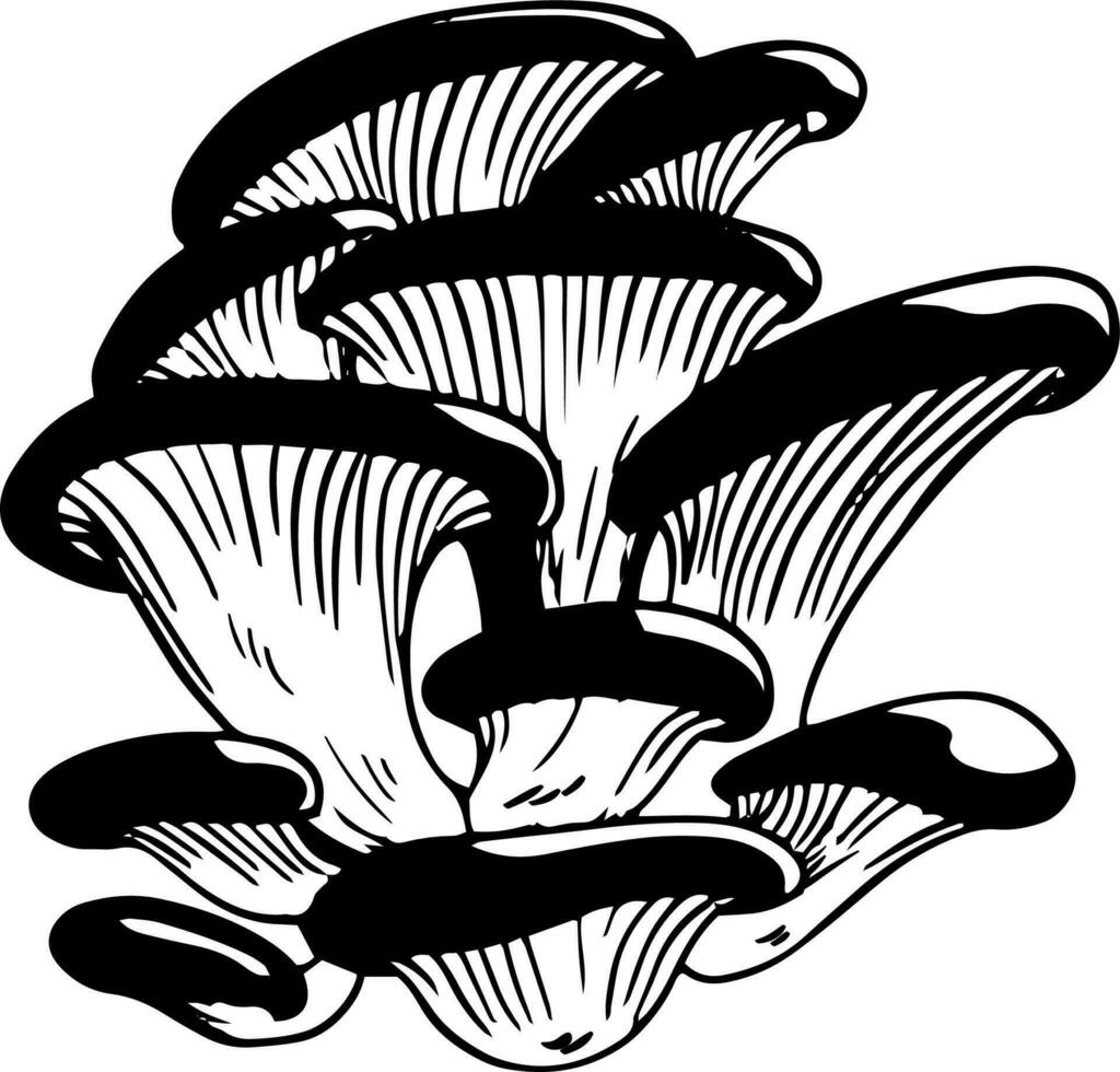 Vector black and white oyster mushrooms doodle style isolated on white background