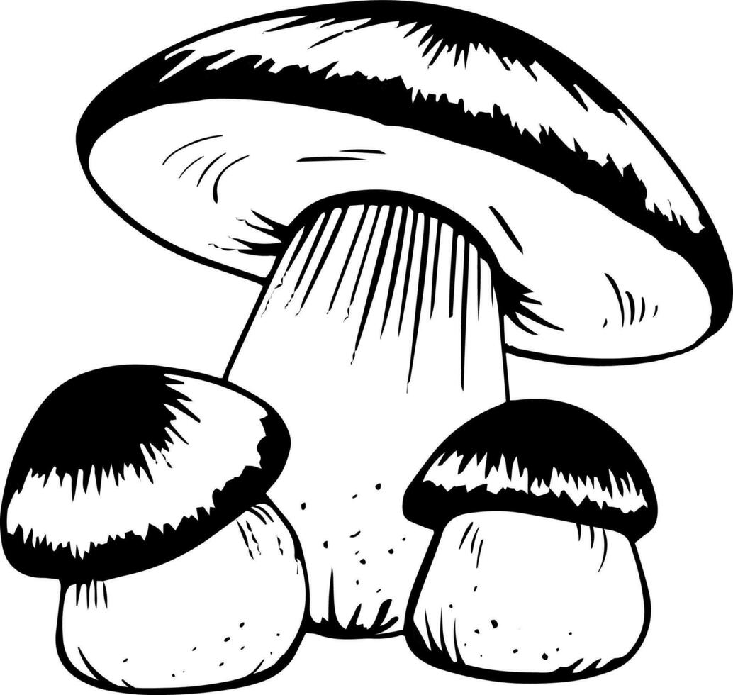 Vector black and white porcini mushrooms doodle style isolated on white background