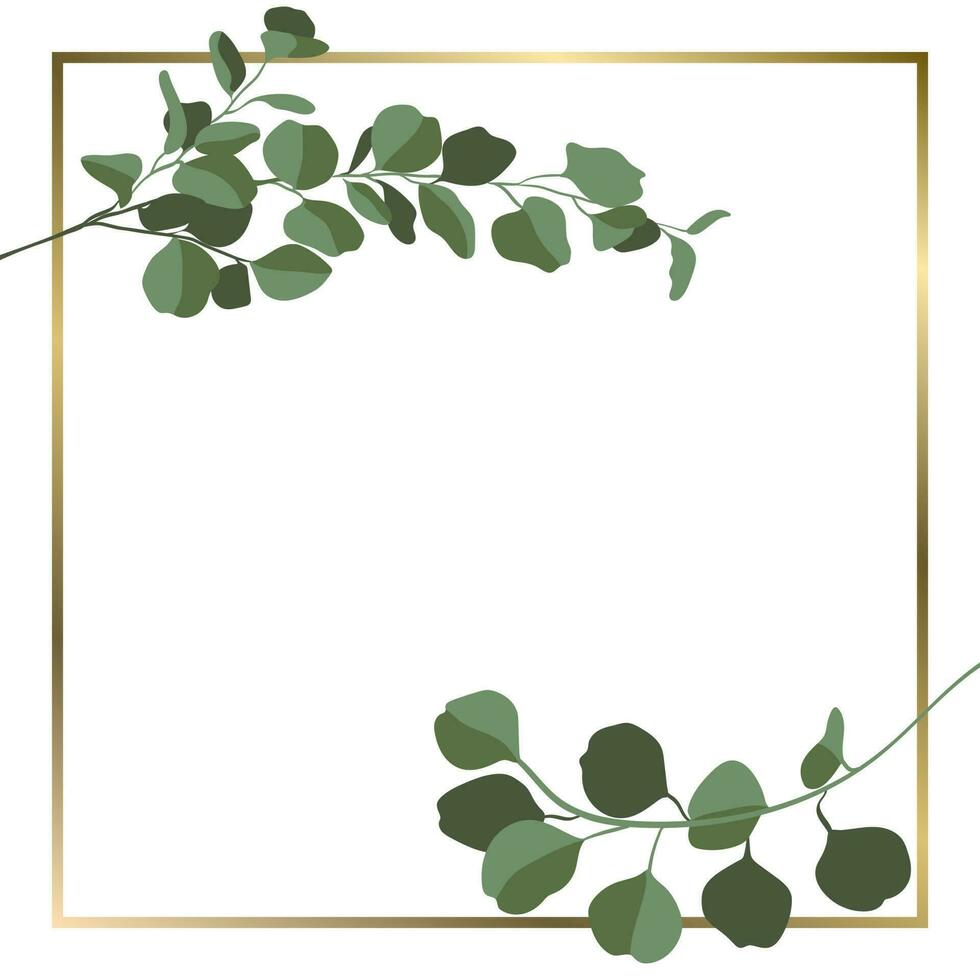 Vector square background with eucalyptus branches and golden frame