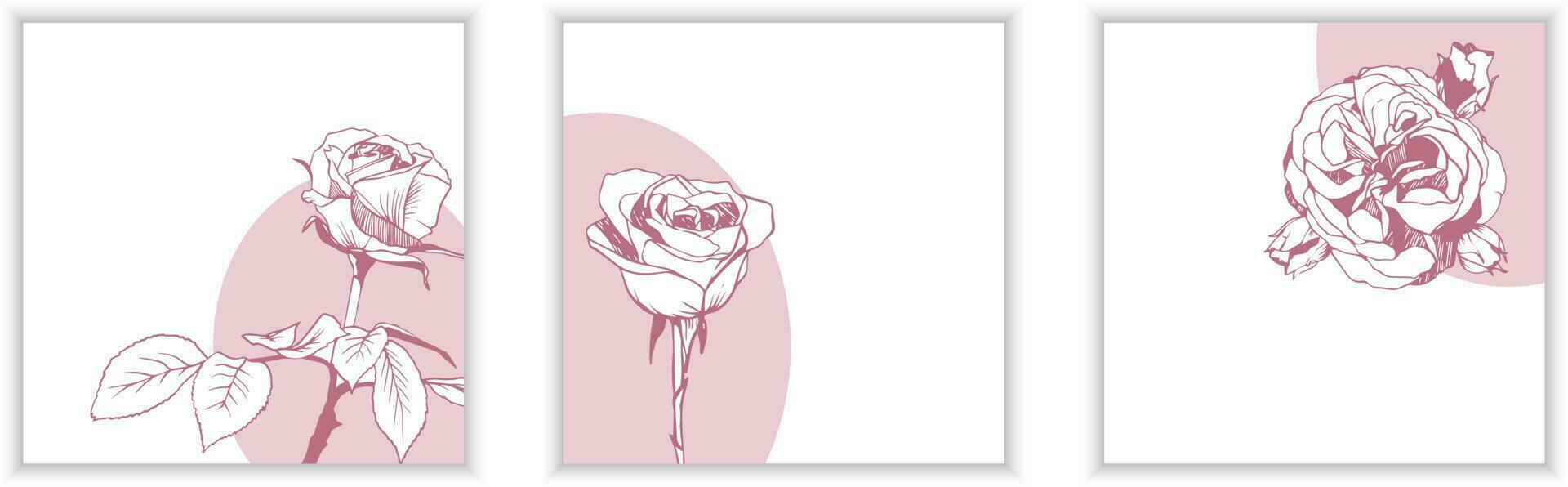 Set of three vector greeting card templates with minimalistic design and lineart roses on white