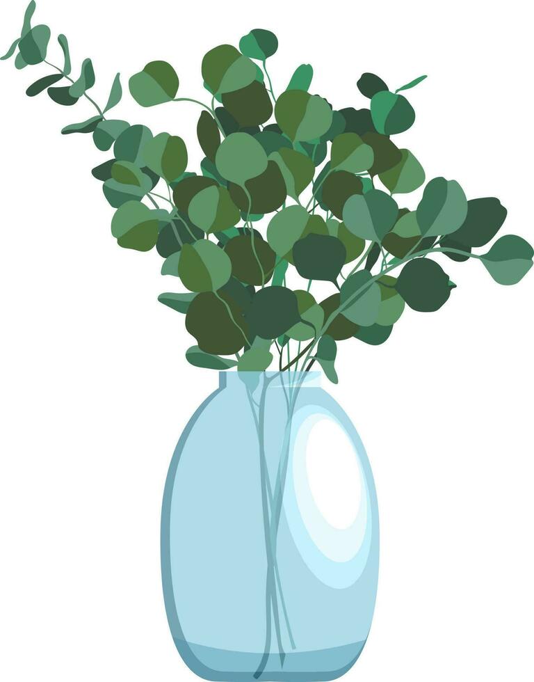 Flat style illustration of bunch of eucalyptus branches in glass vase isolated on white background vector