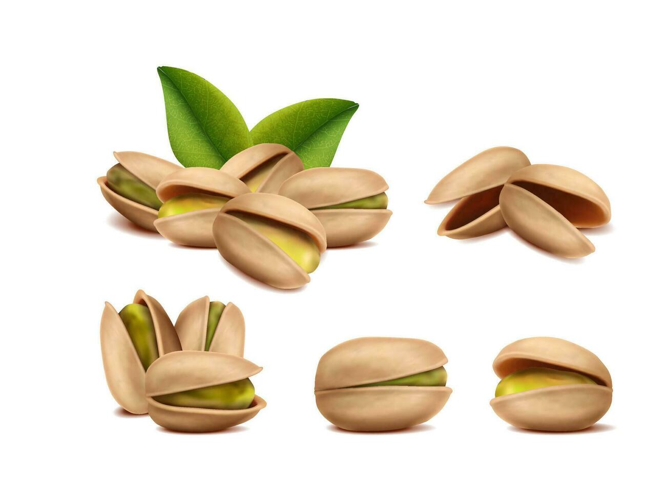 3d realistic vector icon. Design element for packaging, banners, advertising and flyers.