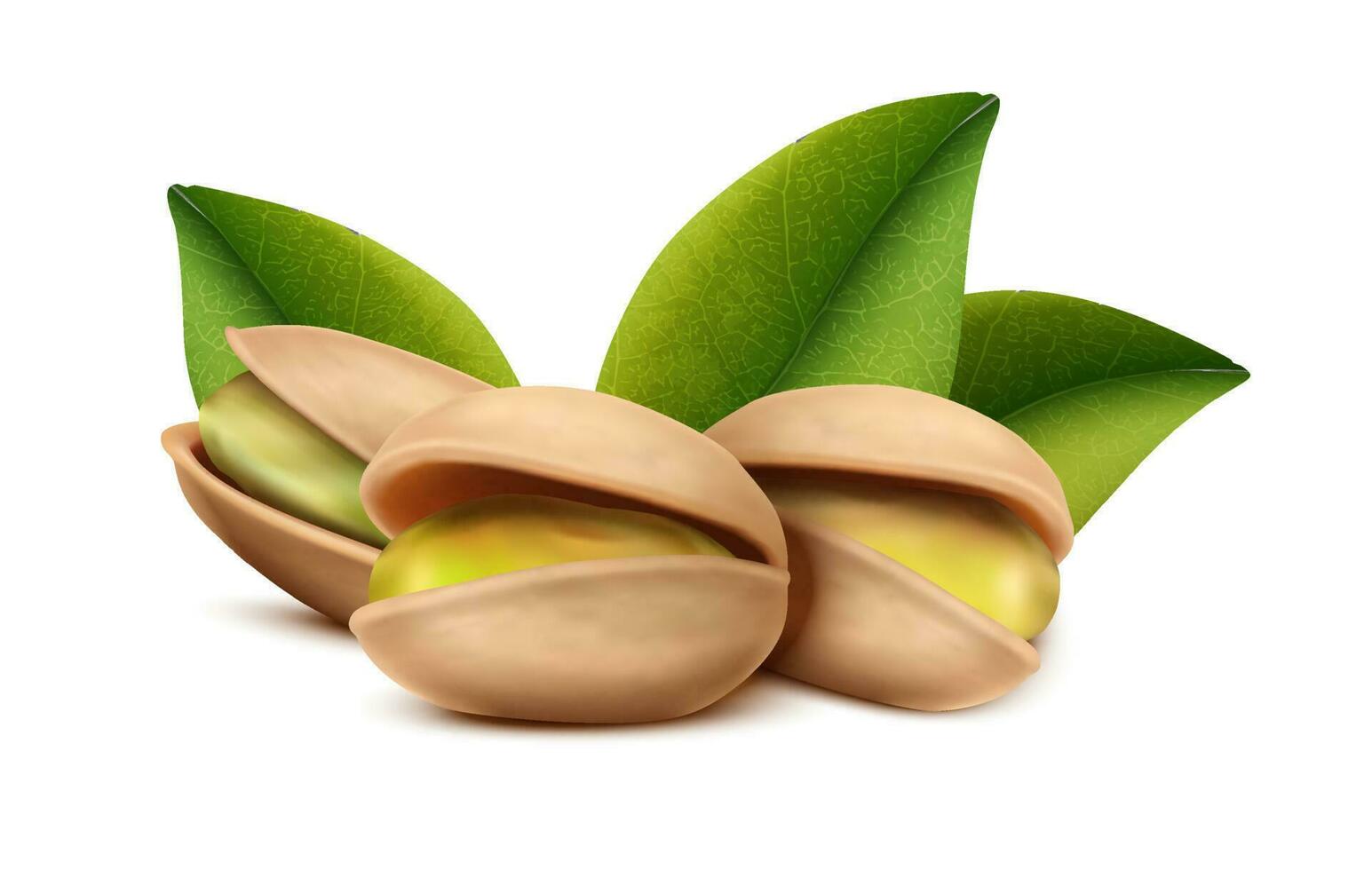 3d realistic vector icon. Pistachio nuts with leaves. Isolated on white background. Design element for packaging, banners, advertising and flyers.