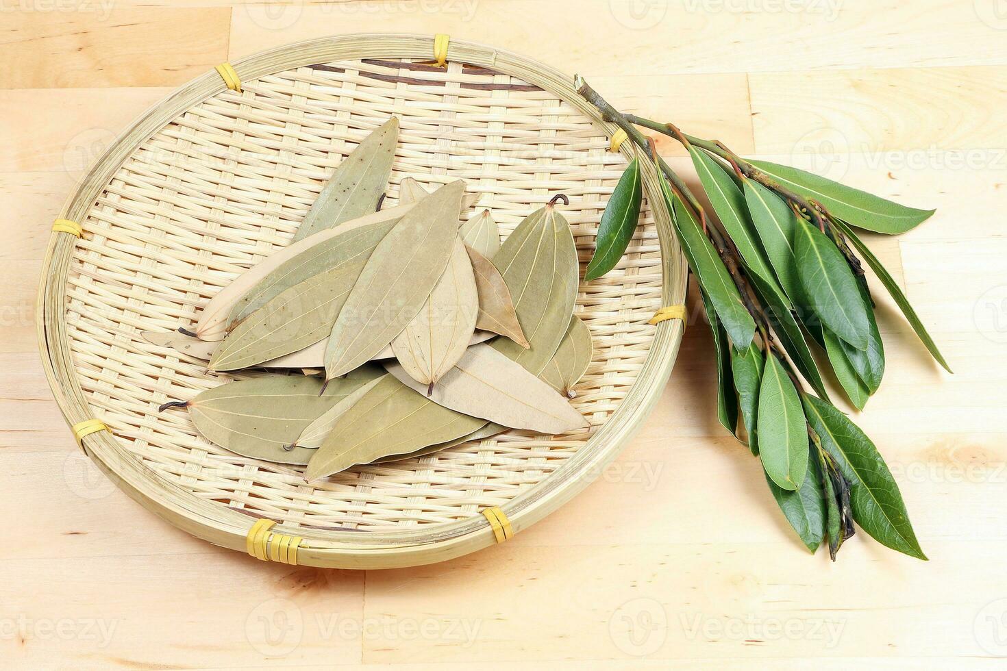 Bay leaf herb spice photo