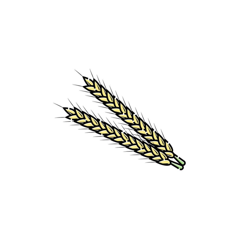 wheat icon illustration design, icon design for template. vector