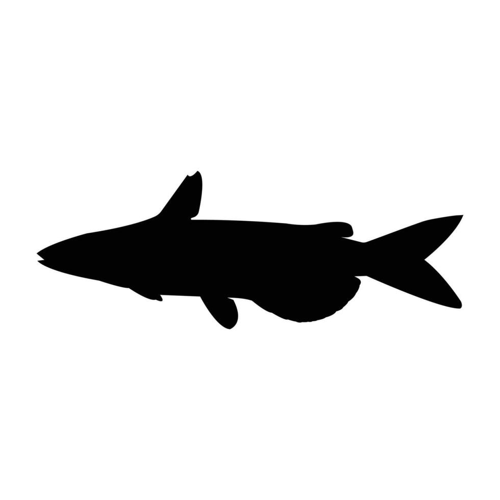 catfish silhouette free vector