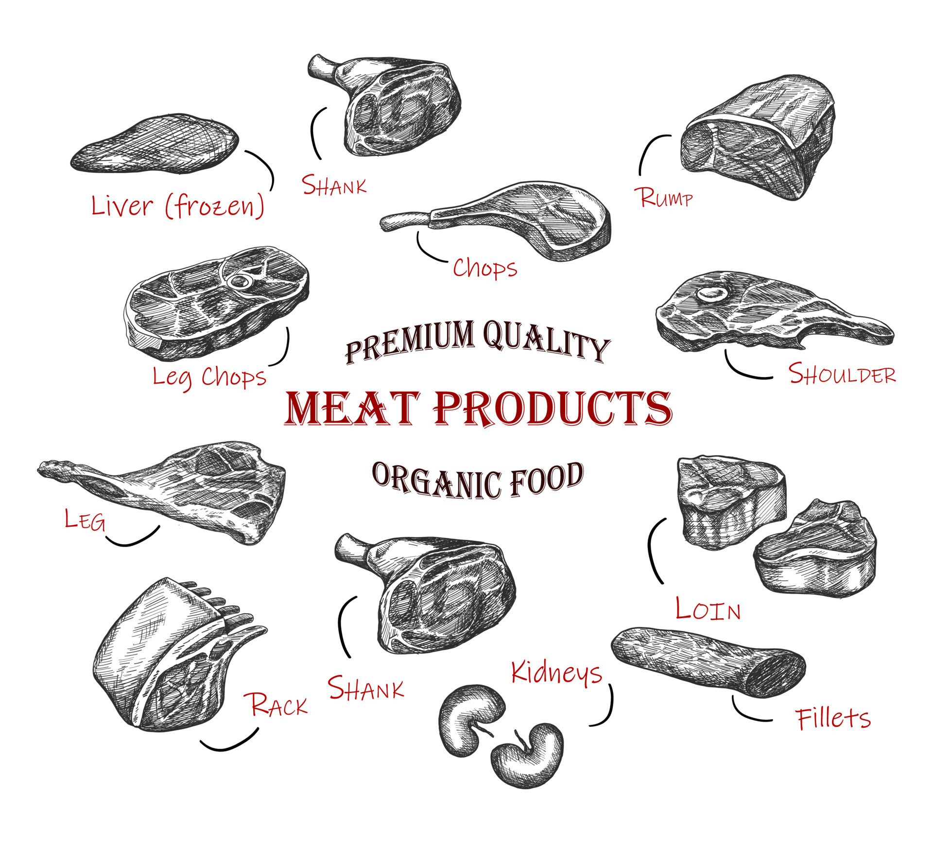 Hand drawn meat. Vector icon collection of illustration. Organic fresh
