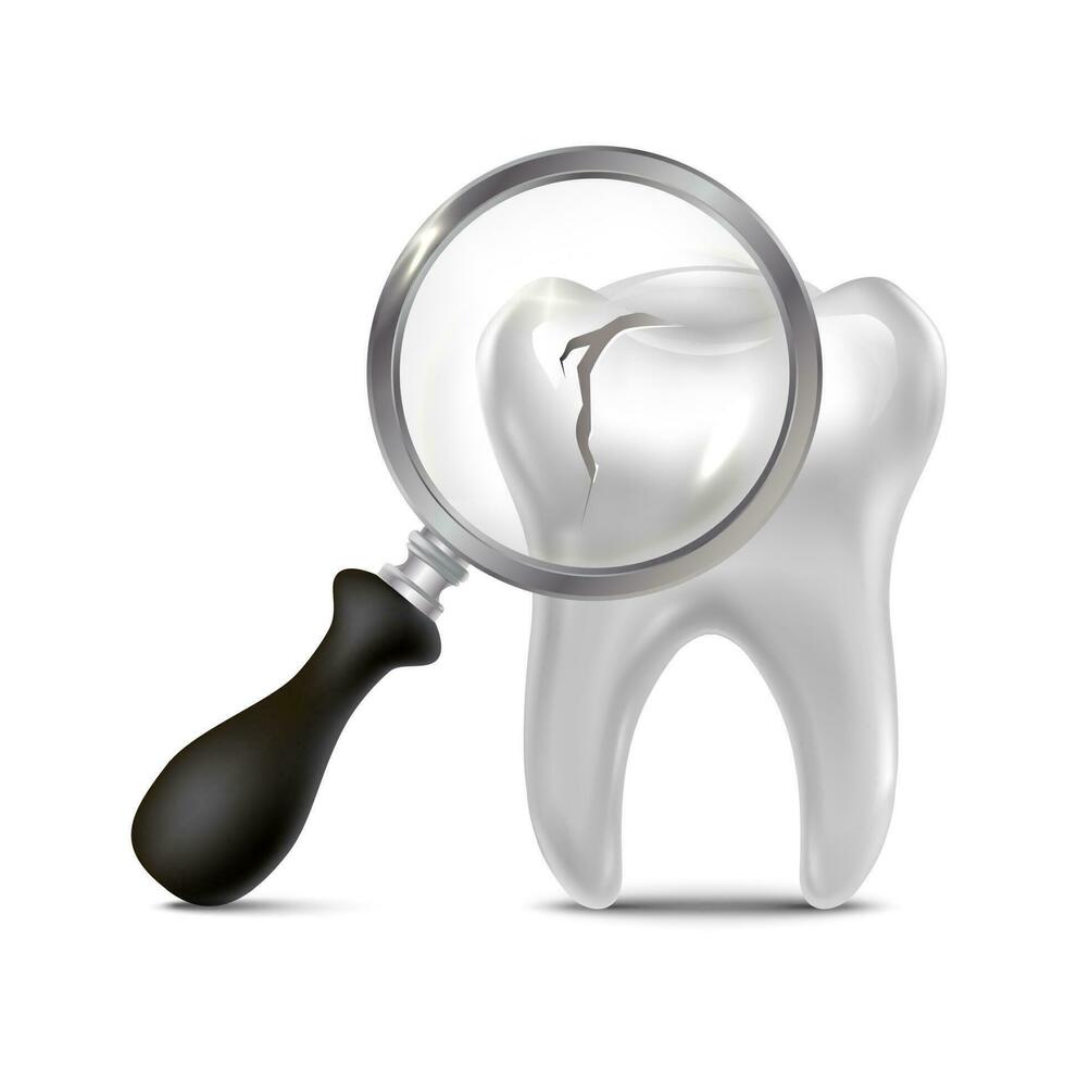 3d realistic vector icon illustration.  Dental clinic, brocken tooth with magnifying glass.