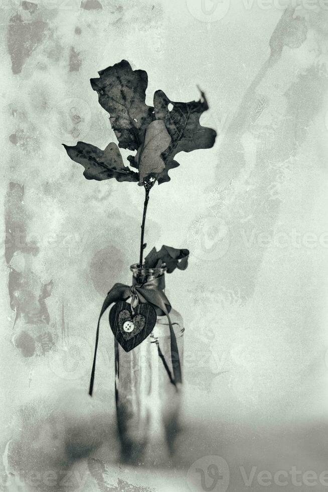 yellow golden autumn oak leaf on a branch in a glass transparent vase with a heart held photo