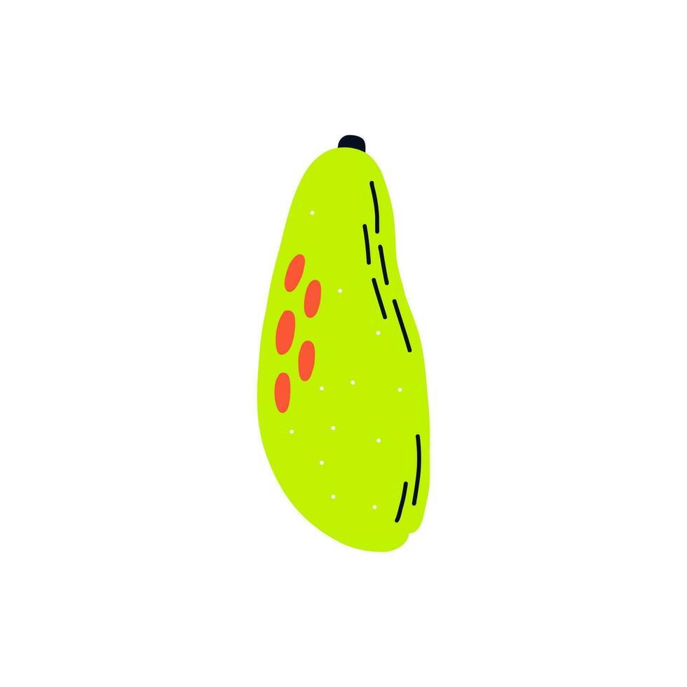 Acid fruit papaya vector