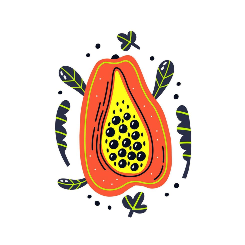 Acid fruit papaya slice with leaves 24317280 Vector Art at Vecteezy