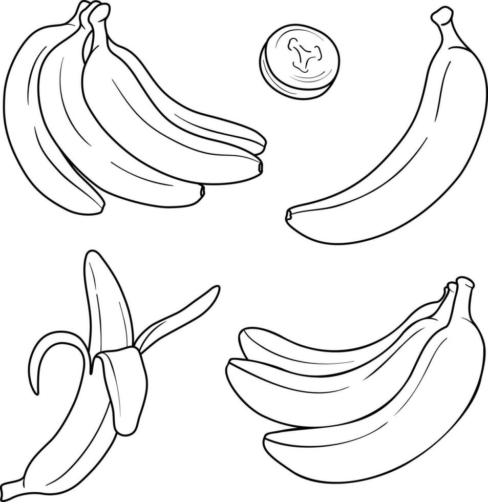 Banana vector line art illustration