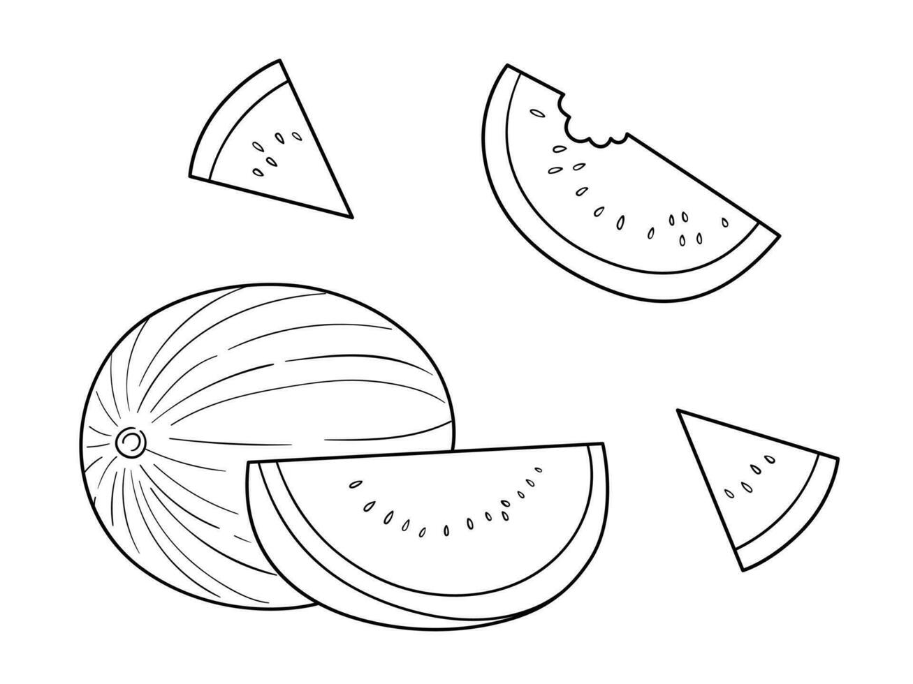 Watermelon vector line art illustration set