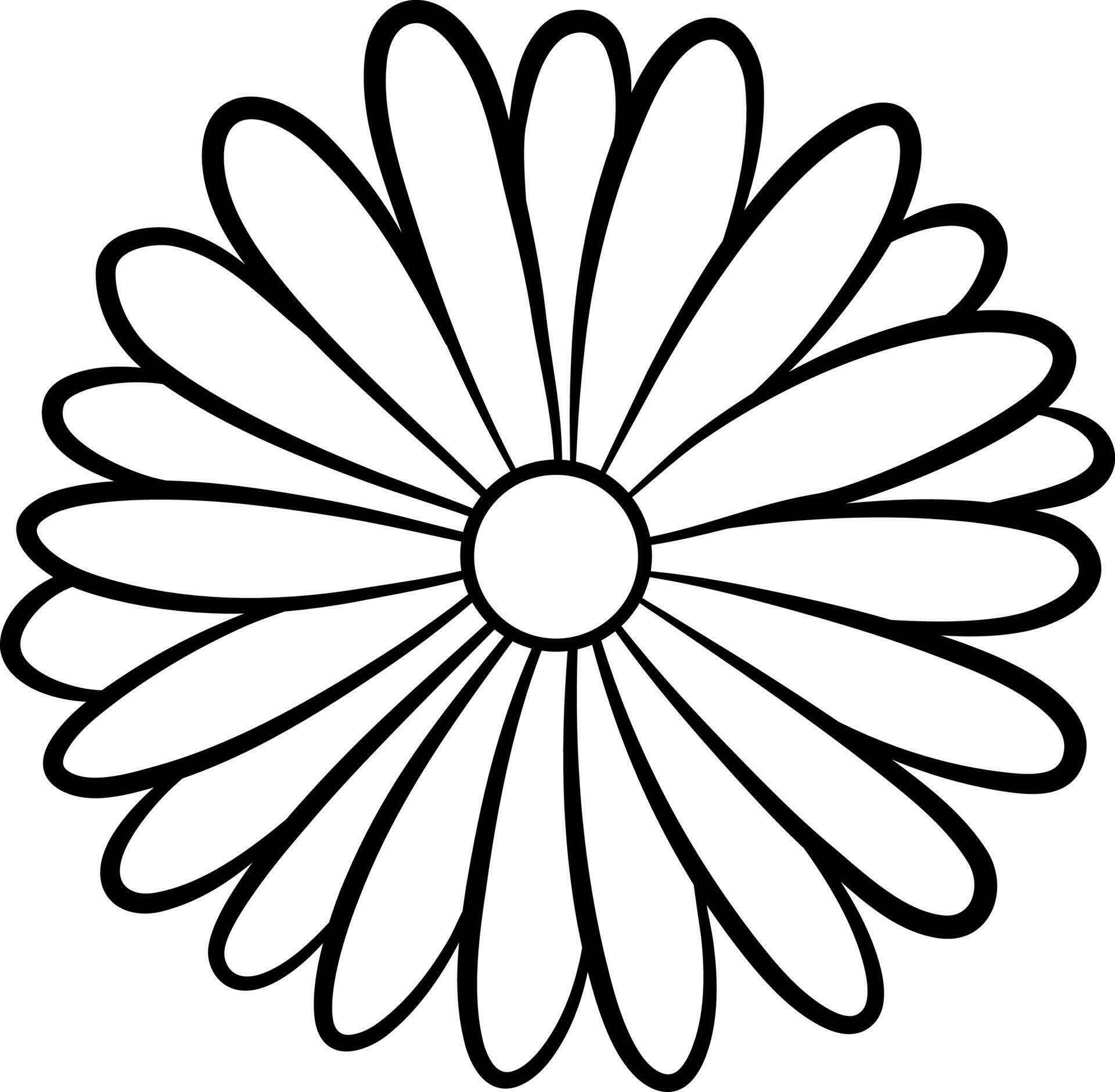 Daisy vector line art flower 24317444 Vector Art at Vecteezy