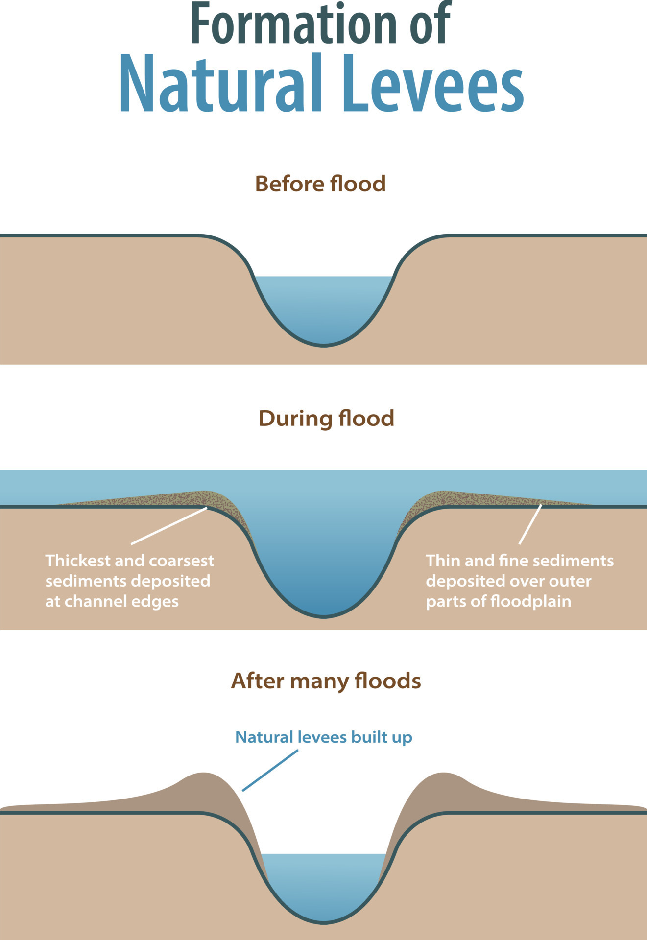 Levees Diagram pin-on-the-empire-strikes-back