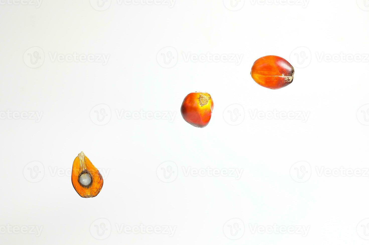 Oil Palm Fruit photo