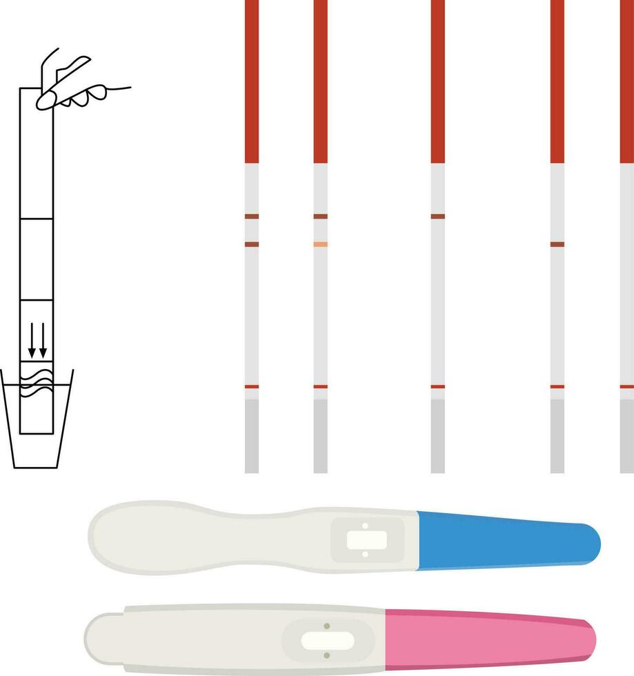 Pregnancy test vector urine diagnostic test kit and strip vector illustration HCG Pregnancy test kit vector image