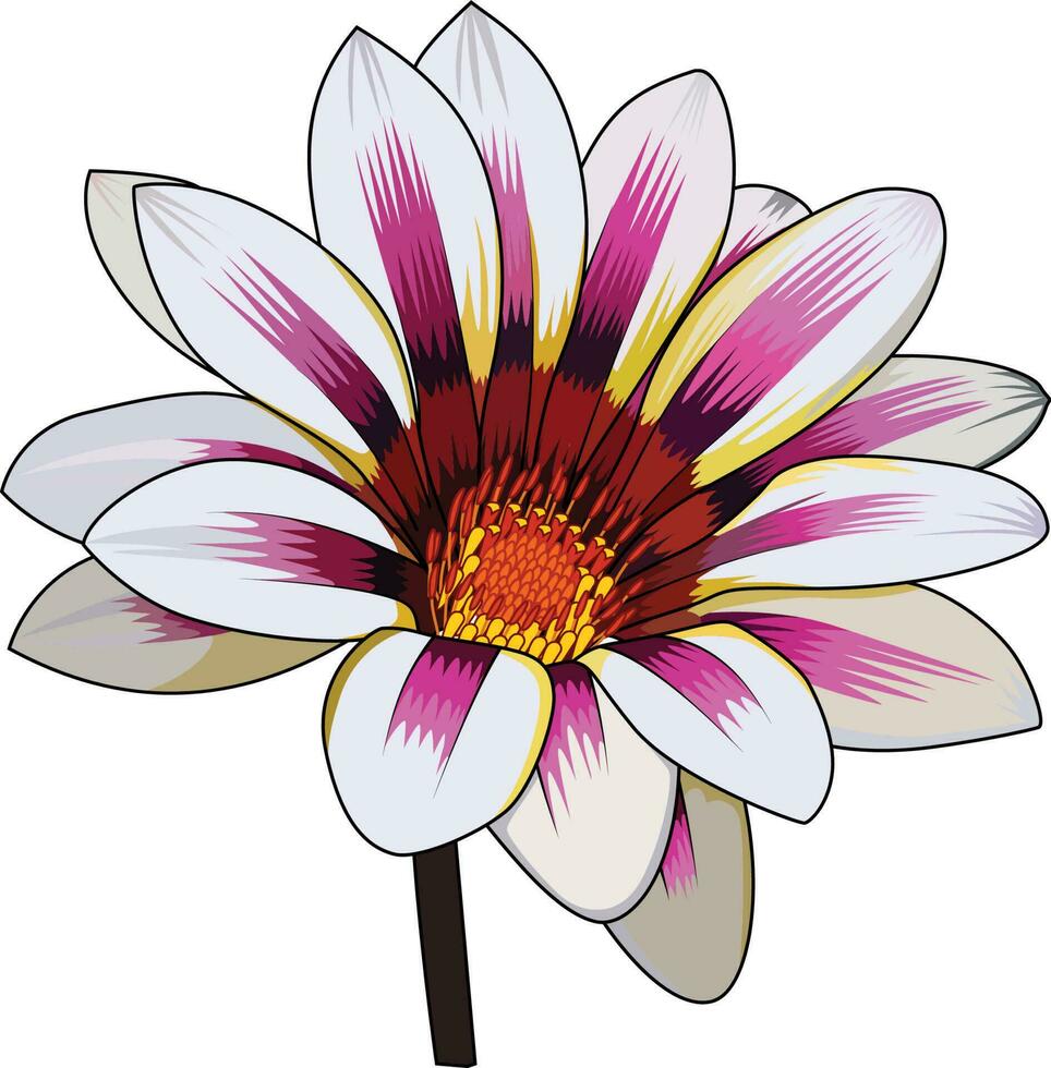 africano margarita blanco gazania flor vector ilustración