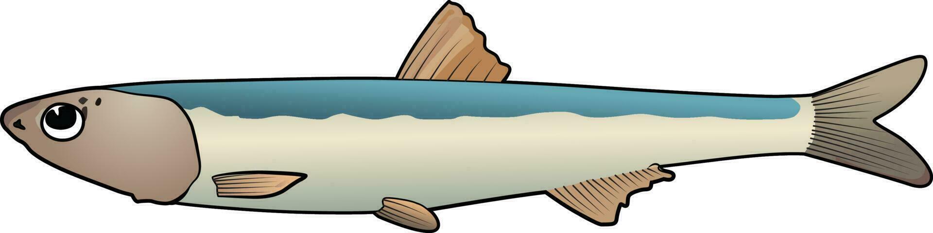 Anchovy small green fish vector engraulidae fish vector image