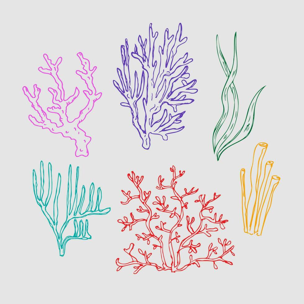 coral .mano dibujado ilustración de corales y algas, submarino mar y Oceano plantas. gráfico dibujo en bosquejo estilo. diseño elemento. línea Arte. para tarjeta, imprimir, póster, logo, camiseta impresión. vector