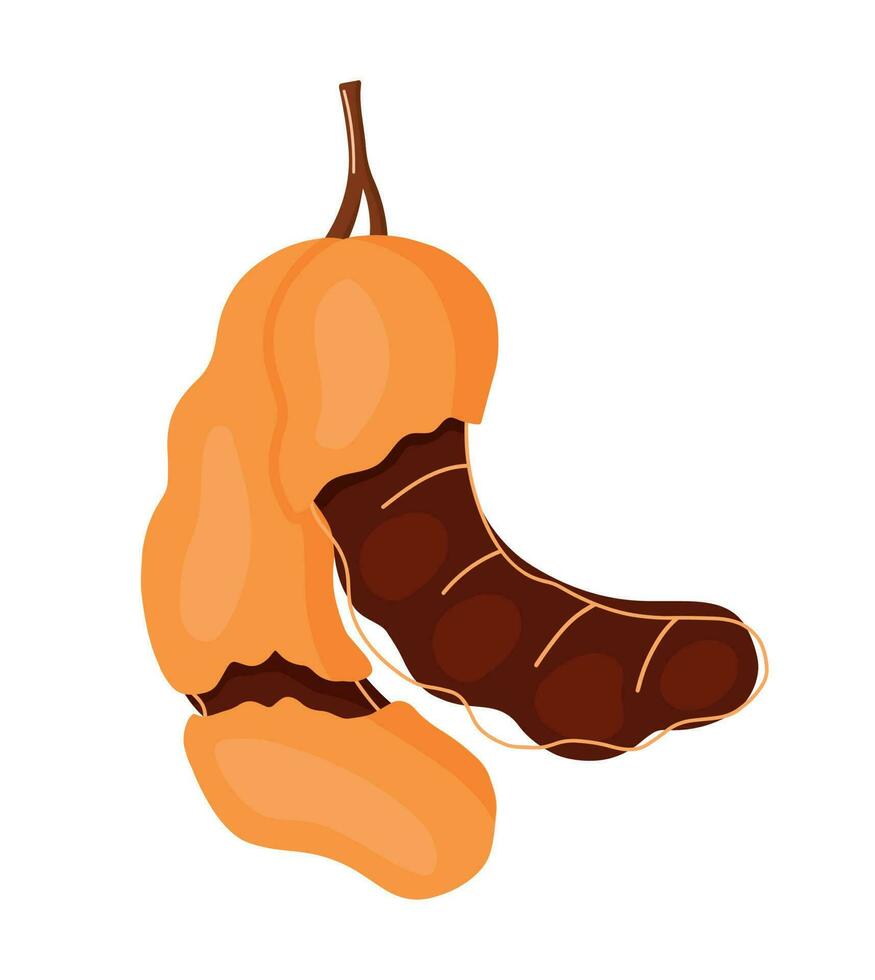 Hanging Tamarind Fruit Icon Doodle Hand Drawing Cartoon Vector Illustration