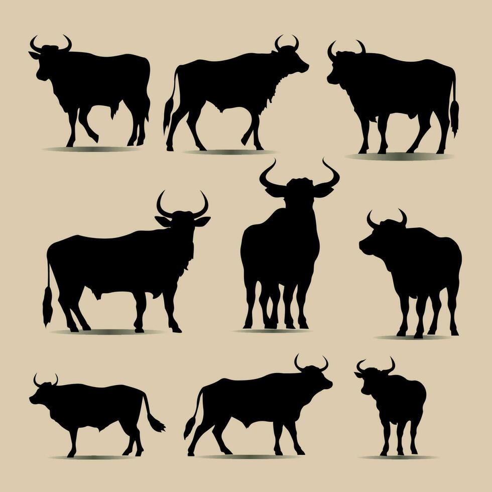 Same Bull silhouette in Different posses Vector Illustration