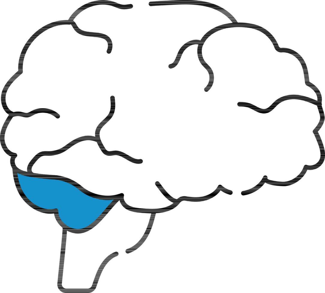 Brain Icon In Blue And White Color. vector