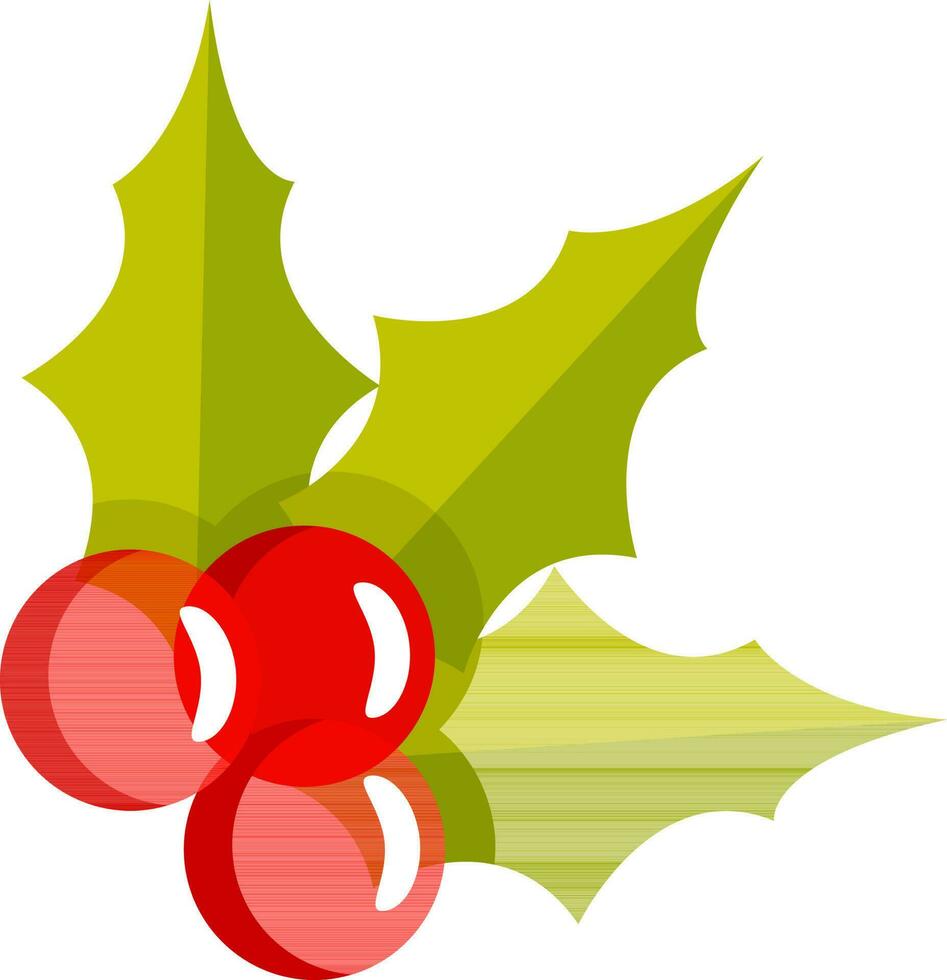 Holly Berry Element on White Background. vector