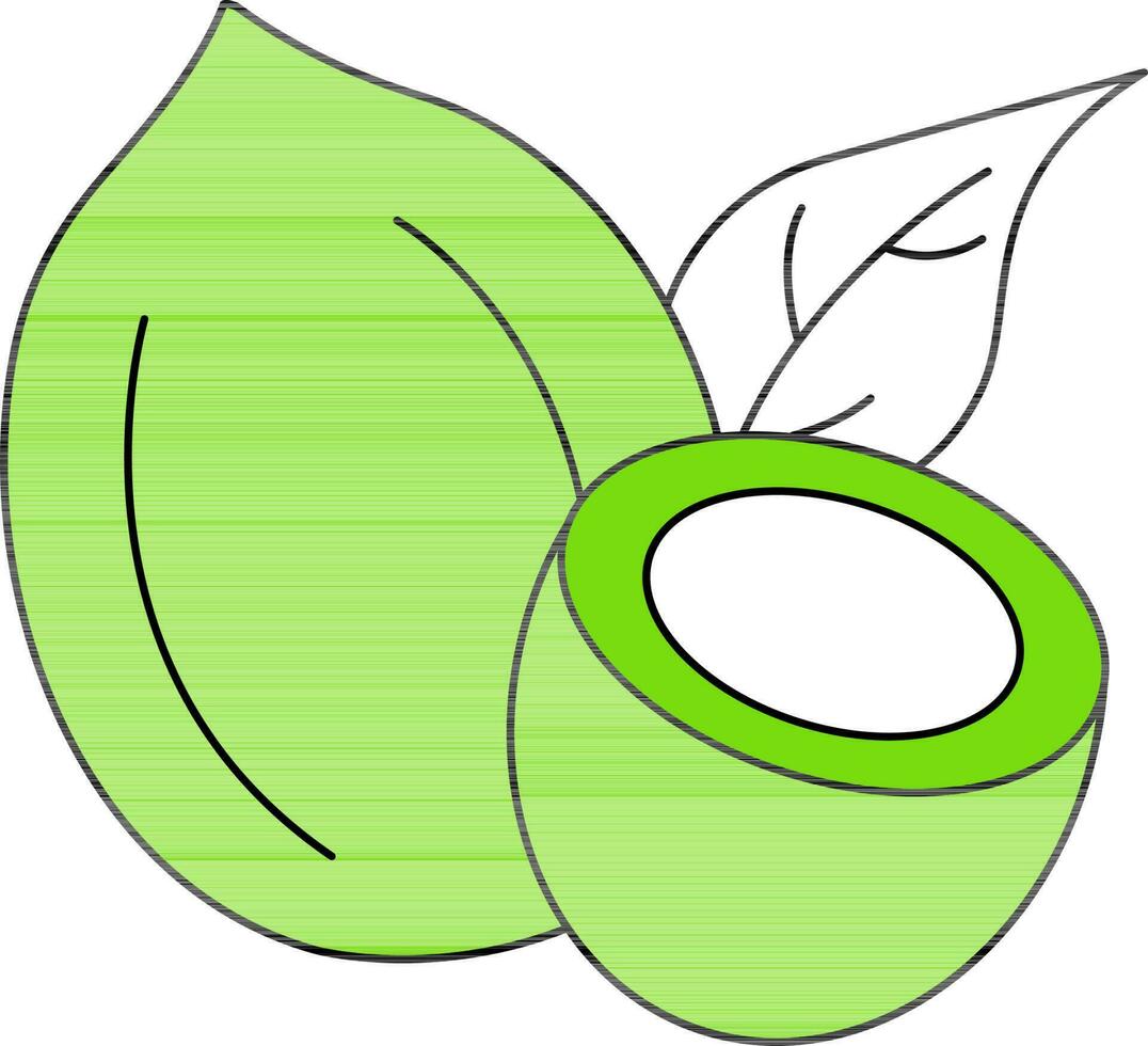 Coconut Icon or Symbol in Green And White Color. vector