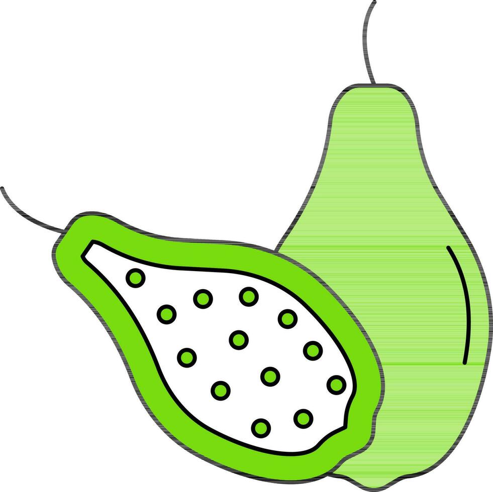 Papaya Icon Or Symbol In Green And White Color. vector