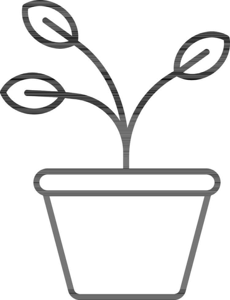 Plant Pot Icon In Black Line Art. vector