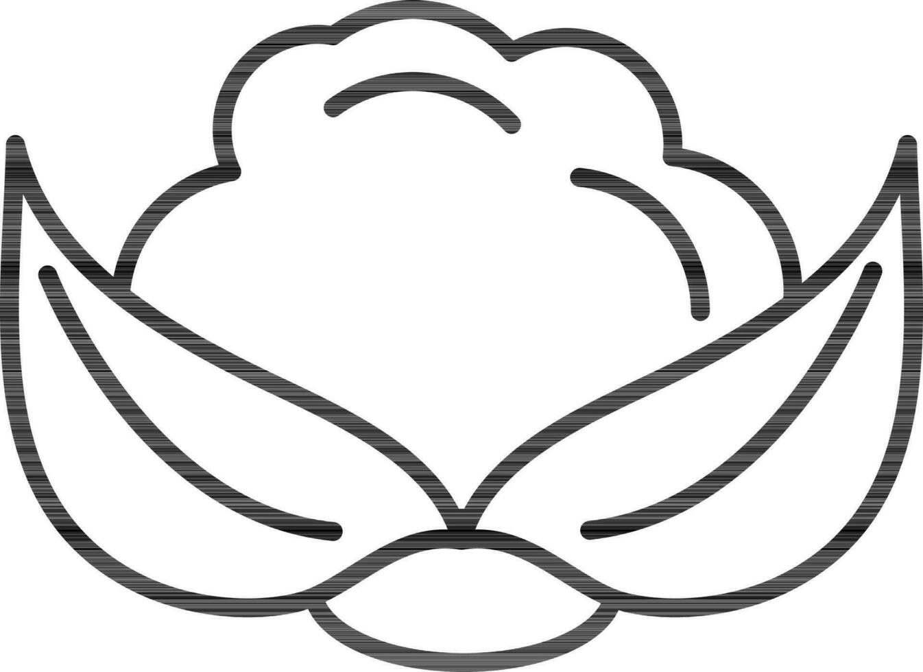 Cauliflower icon in black line art. vector