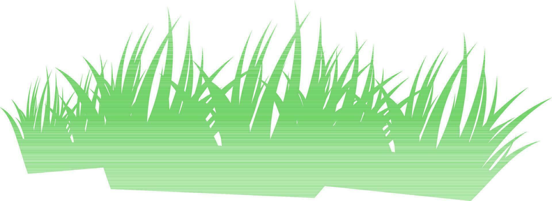 Illustration of green grass. vector