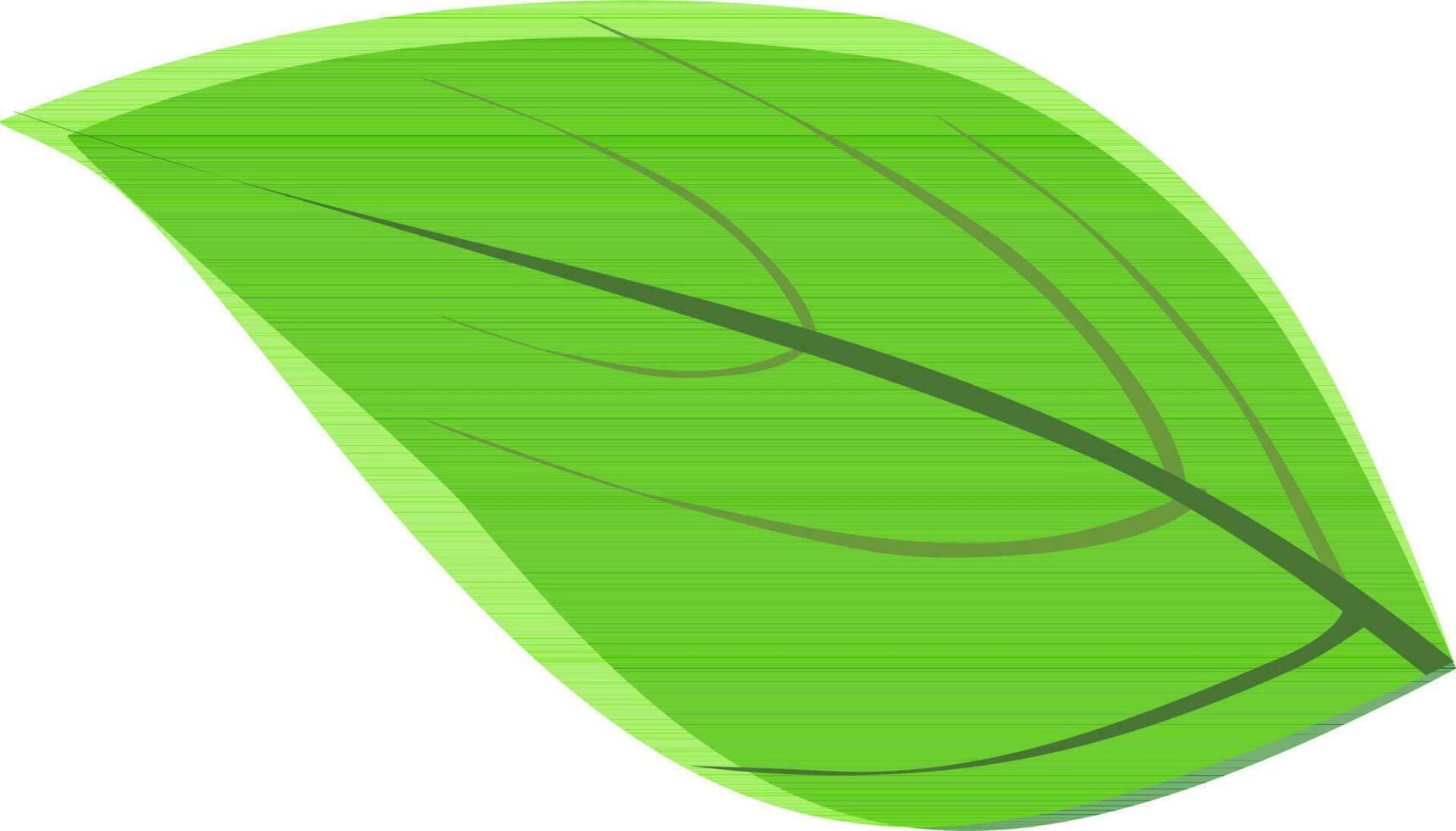 Flat illustration of a leaf. vector