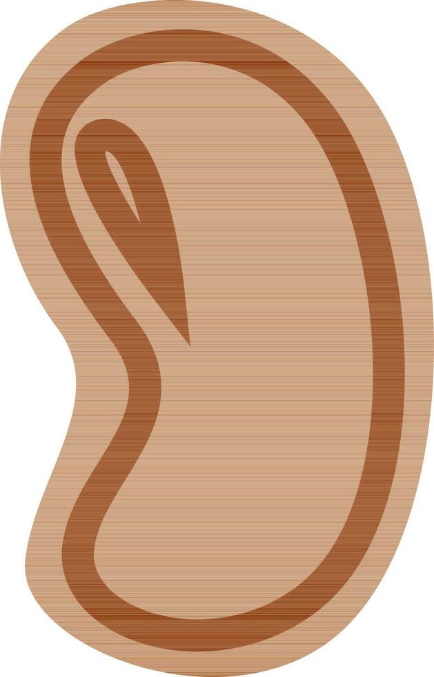 Flat style illustration of kidney bean. vector