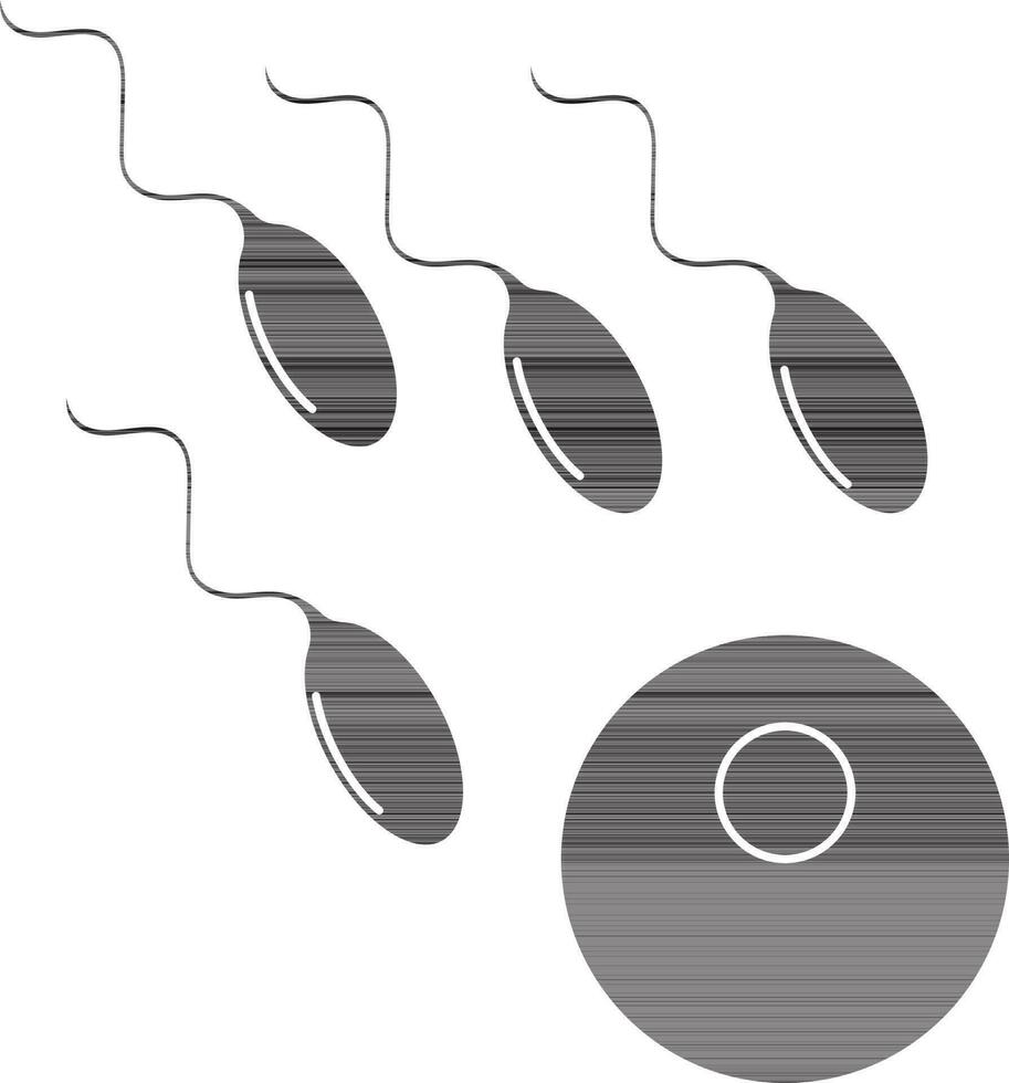 Glyph style of sperm entering to ovule. vector