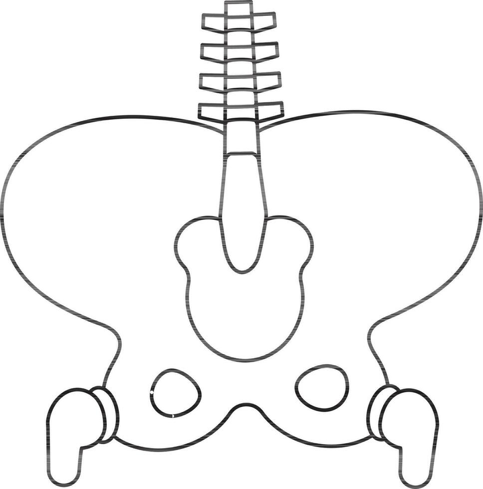 Halloween skeleton bones icon inside body. vector