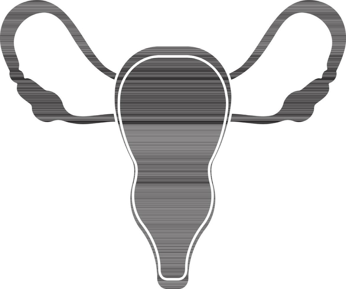 Uterus icon in glyph style for female body part. vector