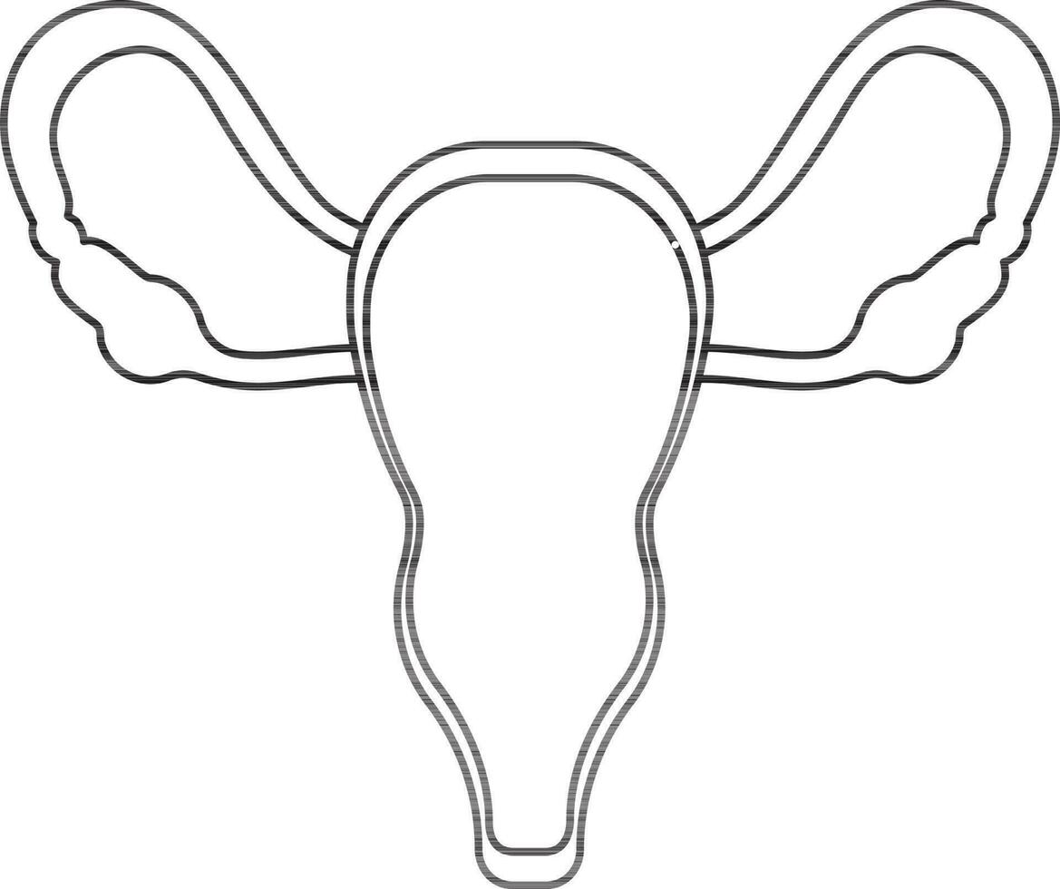Stroke style of uterus icon in part of body. vector